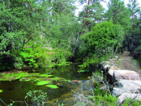 El sendero a orillas del río Duero