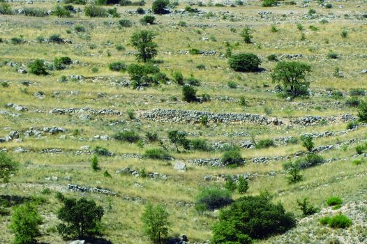 Aterrazados de piedra