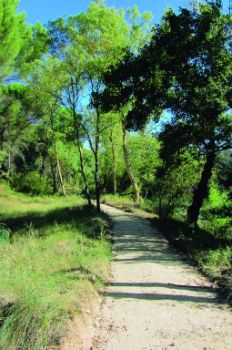 Vereda de Carravilla