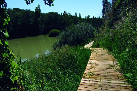 Pasarela de madera