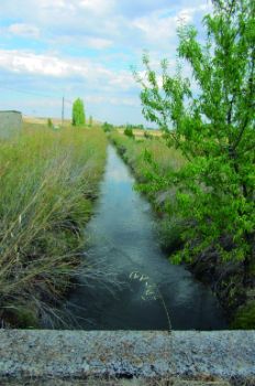 Canal de riego