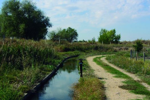 Canal de riego junto al camino