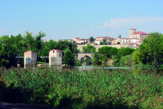 Vista de las aceñas y el puente de piedra en Zamora