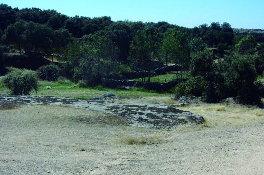 Muros y encinas con los protagonistas del paisaje