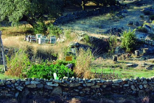 Huertas y colmenas en la entrada a Badilla