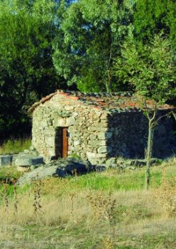 Molino Pachón