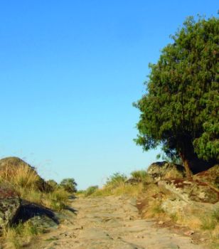 Tramo empedrado del camino