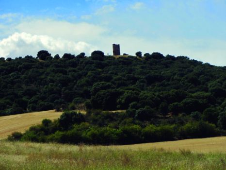 Atalaya de Torrejalba