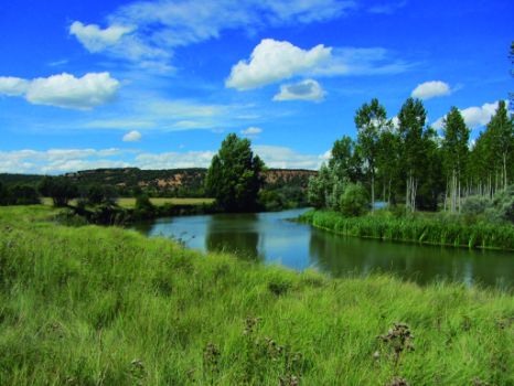 Meandro del río Duero