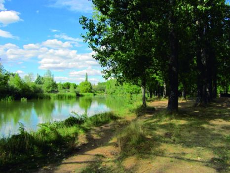 Río Duero a su paso por Almazán