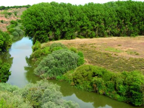 Río Duero en el paraje Llano del Pino