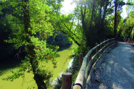 Camino junto al Duero