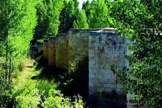 Puente medieval sobre el río Duero
