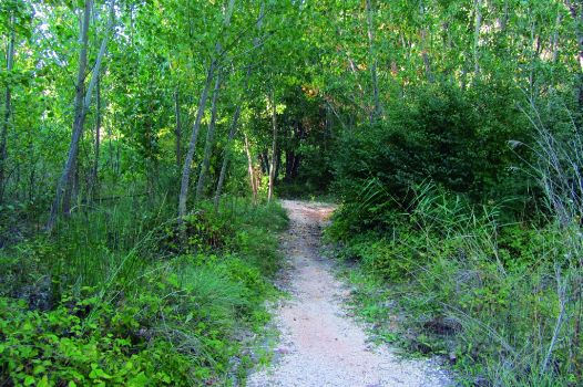 Sendero de ribera