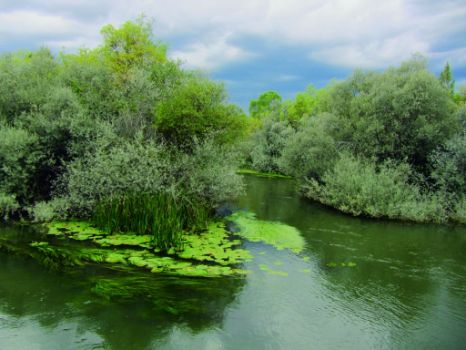 Vista de un meandro del río Duero desde pasarela