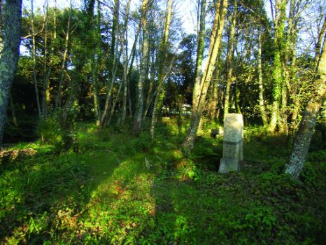Área recreativa Porto Canlés