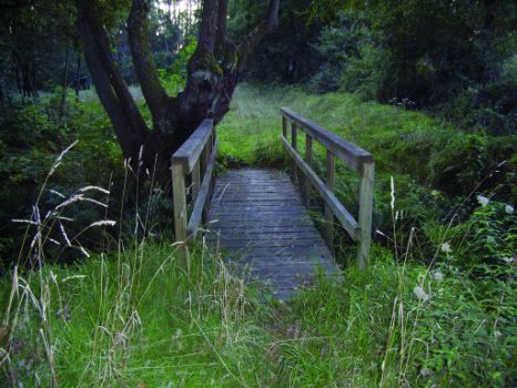 Uno de los puentes de madera que encontraremos a lo largo del camino