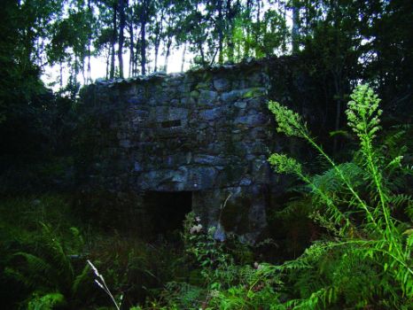 Uno de los antiguos molinos que se pueden encontrar a lo largo del camino