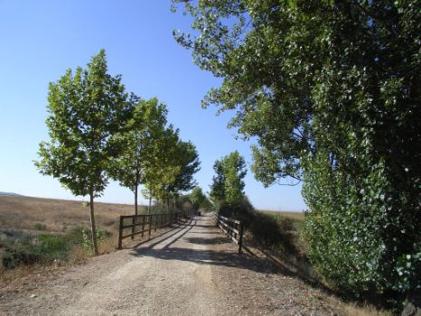 Camino hacia la localidad de Castrofuerte