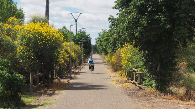 Cyclist leaving Valencia de Don Juan