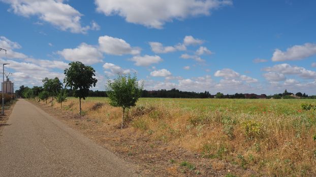Esla Greenway Nature Trail alongside a field full of poppies