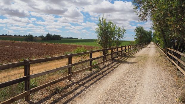 View of the cultivated fields from the Esla Greenway Natural Trail