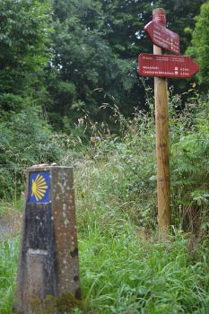 El Camino de Santiago del Norte coincide con el Camino Natural de San Rosendo