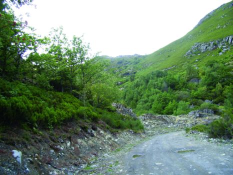 Senda entre vegetación