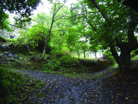 Cruce llegando a Pereda de Ancares