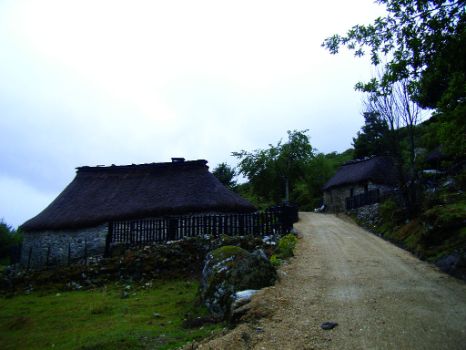 Cabañas en el Regueiral