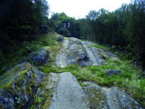 Rodadas en el Camino Real