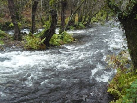El río Barbantiño