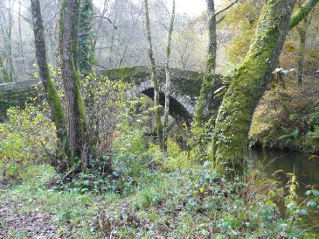 Puente medieval de San Fiz