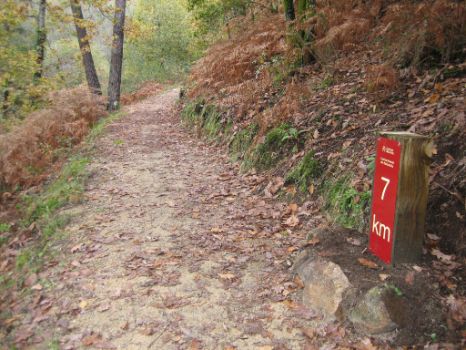 El camino discurre entre robles y rebollos acompañados de ajo antosil