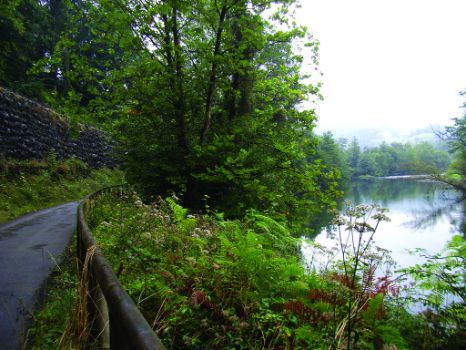 Castaños a orillas del Nalón