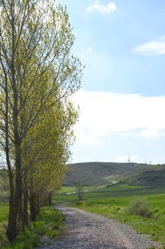 Camino entre pastizales y campos de cultivo