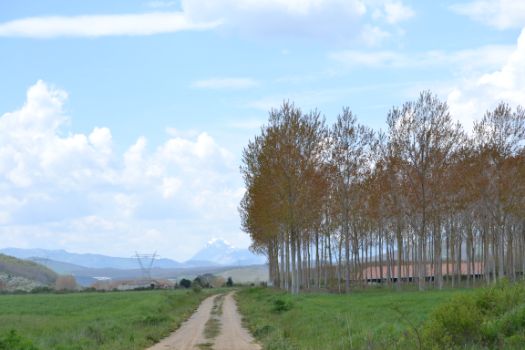 Tras alejarse del río, el camino vuelve a los pastos y cultivos