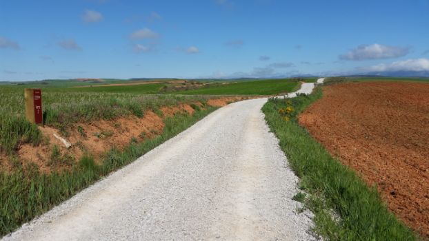 De camino a Olmos de Ojeda