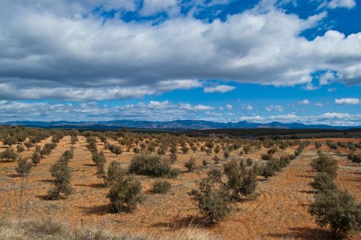 Panoramic view from the Nature Trail