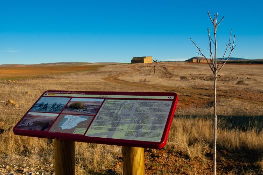 Panel de Caminos Naturales en Cañada Real Soriana Oriental