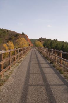 Views of the Nature Trail