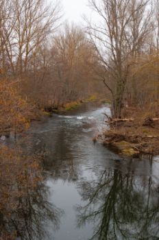 Río Nela