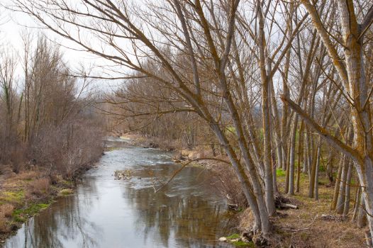 Río Trueba desde el Camino Natural