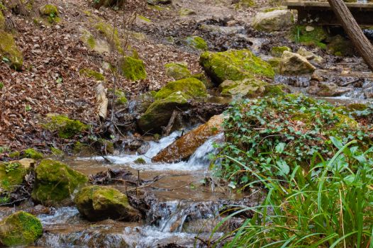 Arroyo de Las Torcas