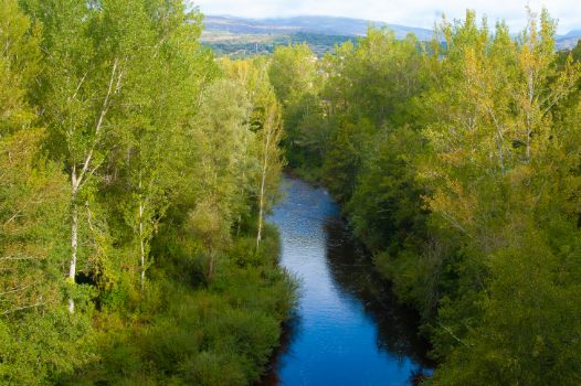 Río Nela