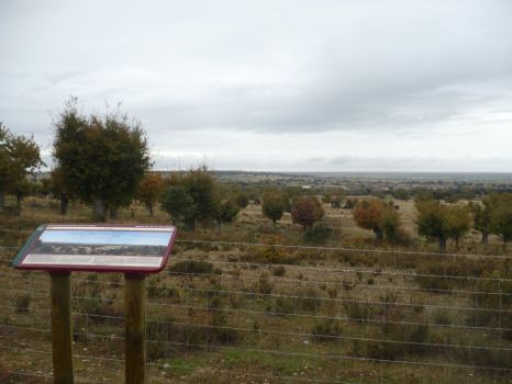 Vistas desde el mirador del Teso de Santa Bárbara