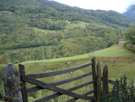 Las zonas de prados y pastos se abren paso entre la masa forestal