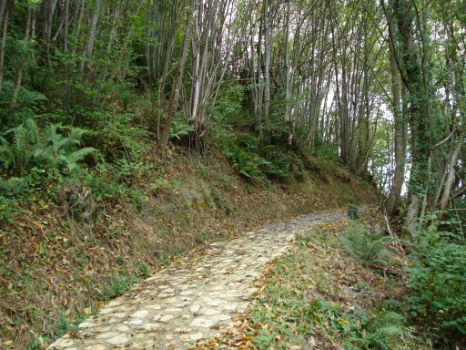 Tramo en pendiente, una de las pequeñas dificultades que ofrece el Camino