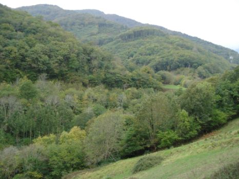 Las masas de bosque atlántico tapizan gran parte del territorio.