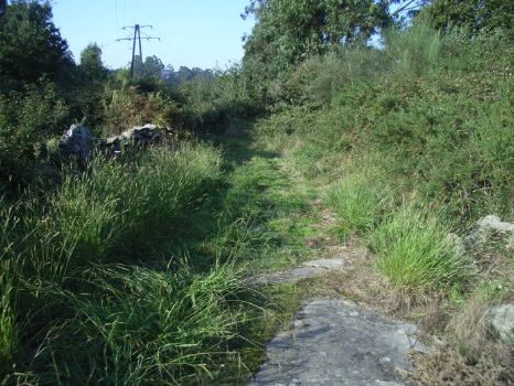 Stretch of the path
